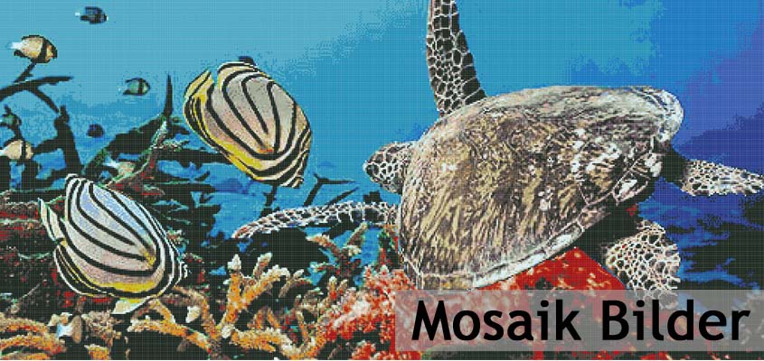 Mosaic pictures