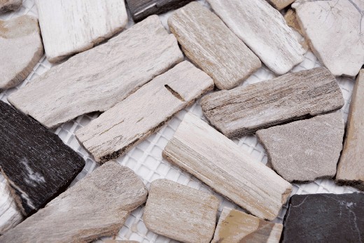 Hand sample Bruch/Ciot mix wood stone Fossil wall tile backsplash MOS44-Fossil_m