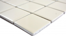 Hand sample mosaic tile beige magnolia backsplash kitchen splashback glossy MOS14-1902_m