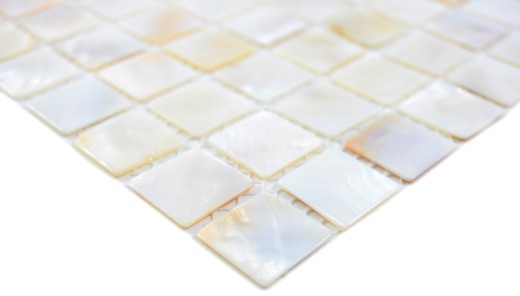 Mother-of-pearl mosaic Shell mosaic white beige Shower screen MOS150-SM2525