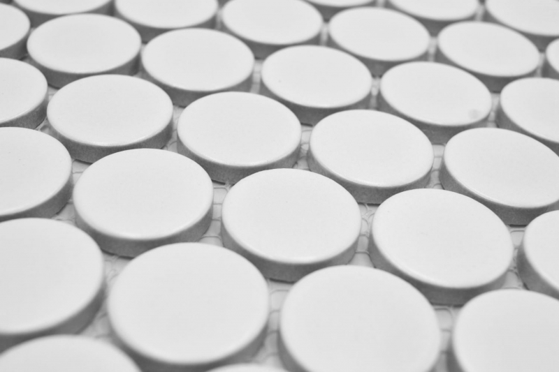 Ceramic mosaic tile Button Loop Penny Round plain white matt MOS10-0111GR
