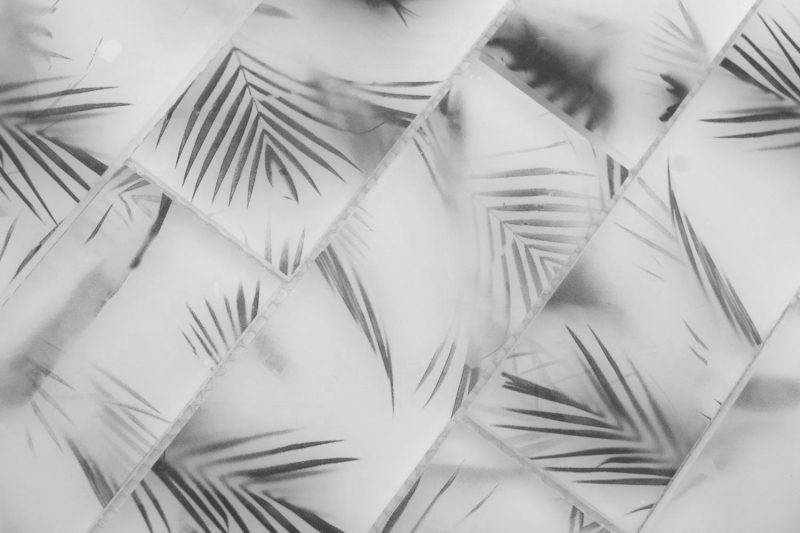 Hand sample glass mosaic mosaic tile composite white black matt leaf look MOS88-FL25_m