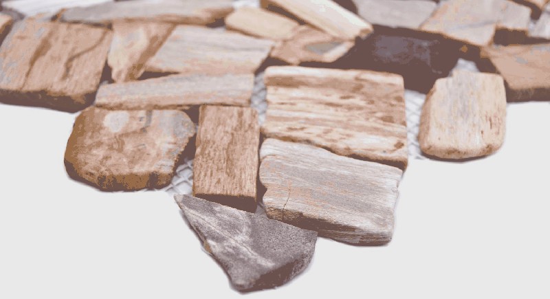 Hand sample Bruch/Ciot mix wood stone Fossil wall tile backsplash MOS44-Fossil_m