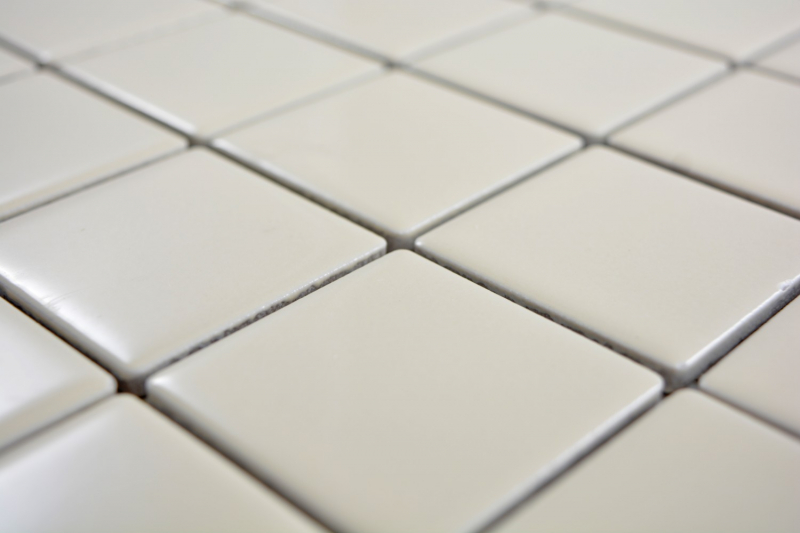 Hand sample mosaic tile beige magnolia backsplash kitchen splashback glossy MOS14-1902_m