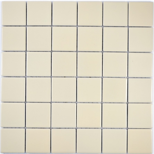 Mosaic tile beige magnolia matt backsplash kitchen backsplash MOS14-1911_f