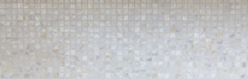 Mother-of-pearl mosaic Shell mosaic white beige Shower screen MOS150-SM2525