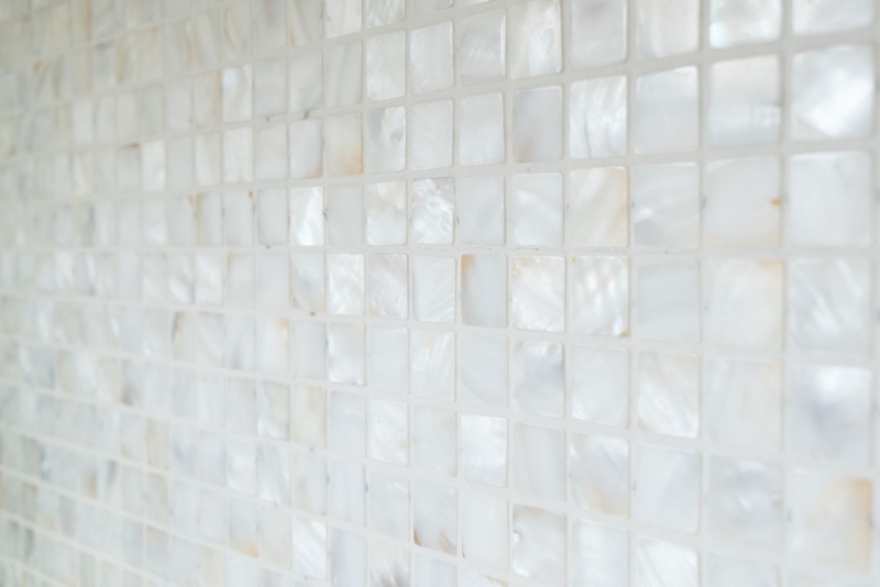 Mother-of-pearl mosaic Shell mosaic white beige Shower screen MOS150-SM2525