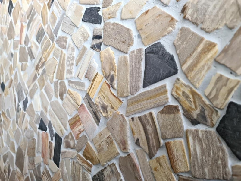 Mosaic quarry Fossil natural stone mosaic Polygonal mosaic mat Wood wood look shower tray kitchen wall tile backsplash - MOS44-Fossil