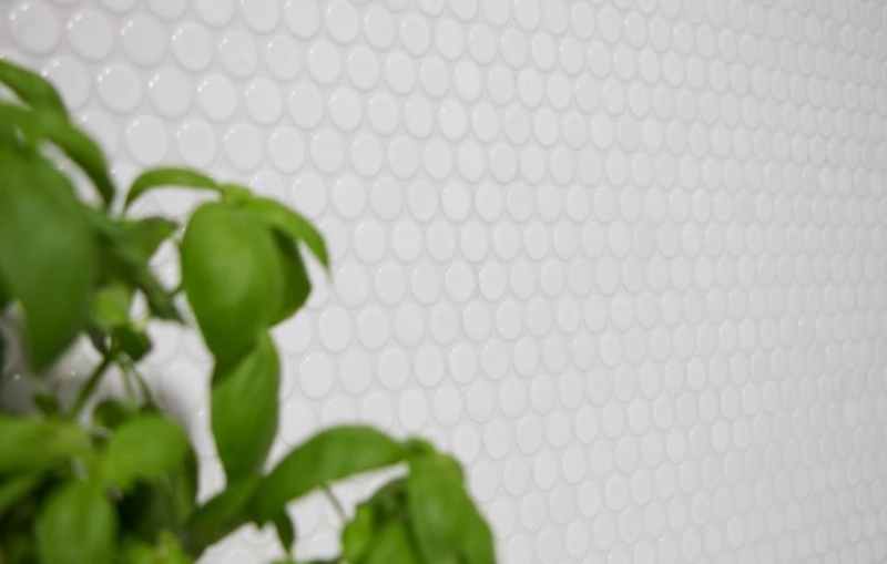 Hand pattern button mosaic LOOP round mosaic white glossy wall kitchen shower BATH MOS10-0102_m