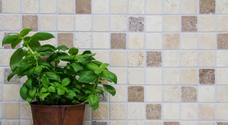 Hand sample mosaic kitchen splashback Travertine natural stone beige brown Chiaro + Noche Travertine MOS43-1216_m
