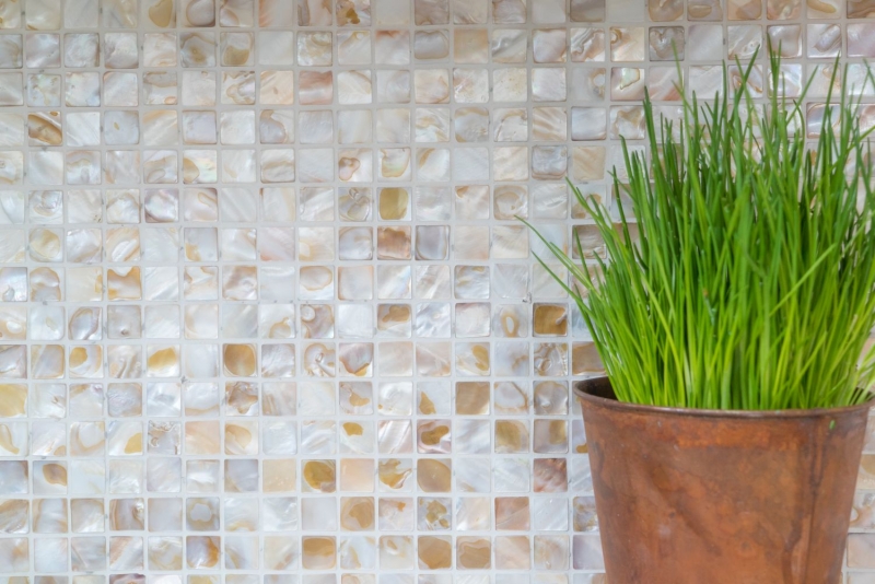 Shell mosaic light beige tiled splashback MOS150-SM203_f
