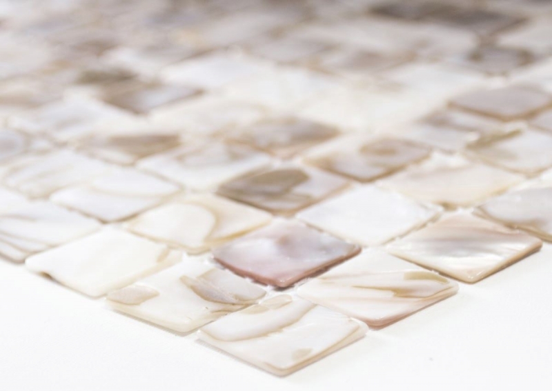 Shell mosaic light beige tiled splashback MOS150-SM203_f