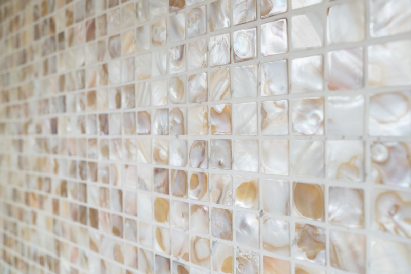 Shell mosaic light beige tiled splashback MOS150-SM203_f