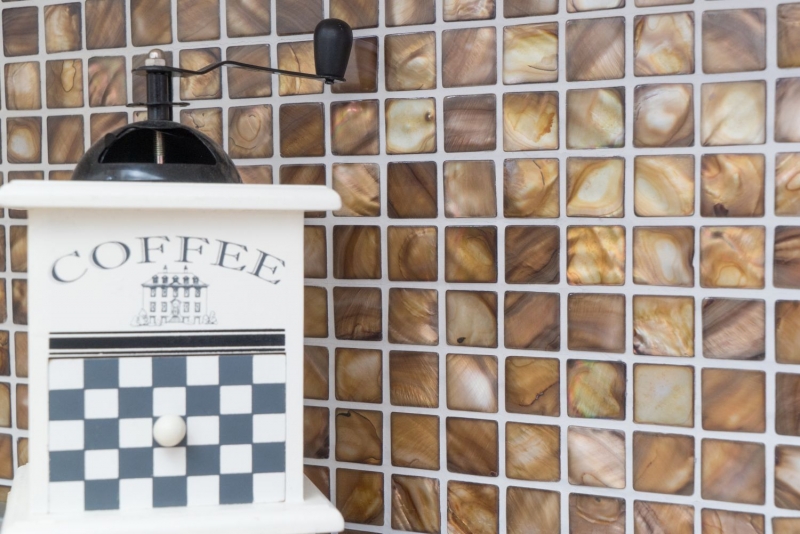 Shell mosaic mother-of-pearl beige brown tile backsplash kitchen wall MOS150-SM2569_f