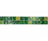Mosaic border Border glass mosaic animal world peacock dark green light green yellow MOS68BOR-WL84