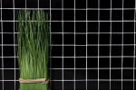 Hand-painted mosaic tile ceramic black matt tile backsplash kitchen splashback MOS16-0311_m