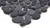 Hand-patterned mosaic tile river pebble stone pebble domed dark gray MOS30-0208_m