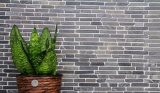 Hand-painted mosaic tile marble natural stone black Brick Nero Marquina MOS40-0125_m