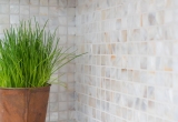 Shell mosaic mother-of-pearl white beige kitchen backsplash MOS150-SM2525_f